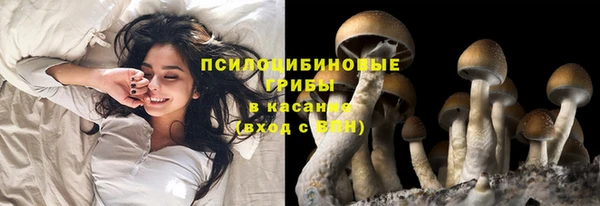 метадон Карталы