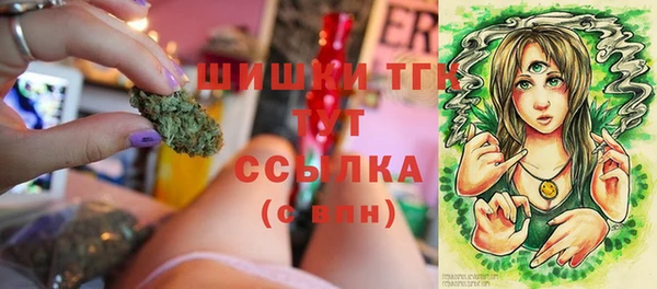 мескалин Касимов