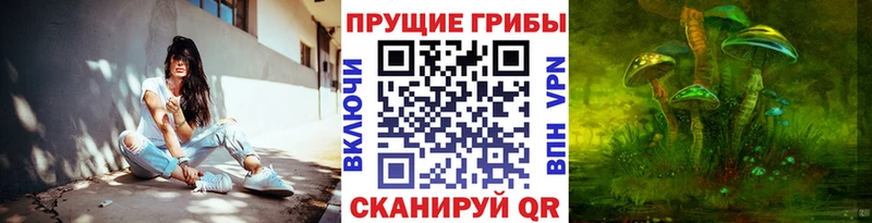 Псилоцибиновые грибы мухоморы  Купить закладки  Терек 